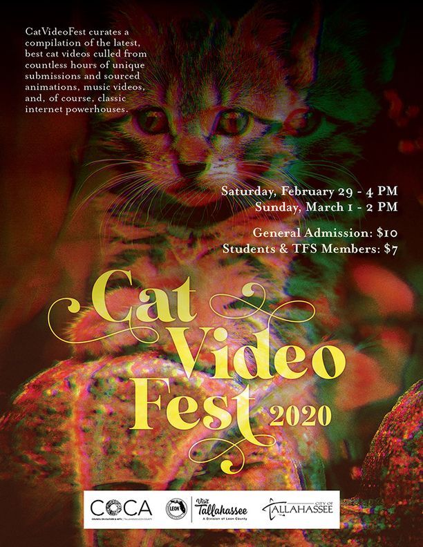 Cat Video Fest 2020