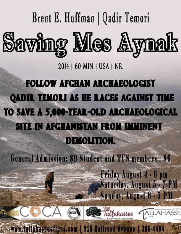 Saving Mes Aynak