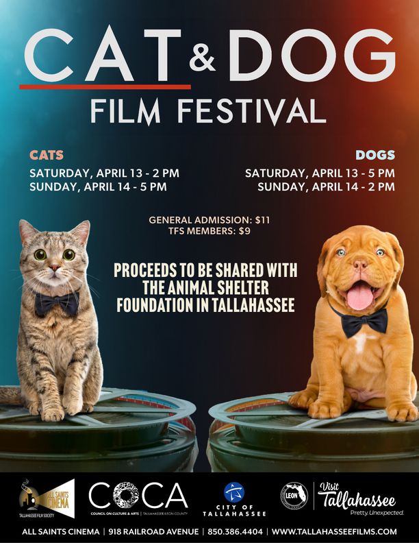 Cat and Dog Film Festival: CATS