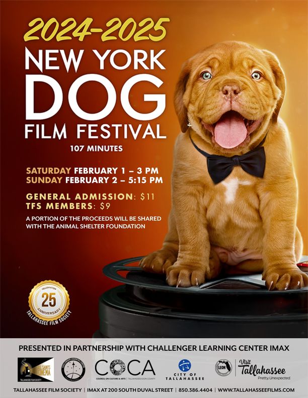 Cat & Dog Film Festival 2024-2025: DOGS (@ CLC)