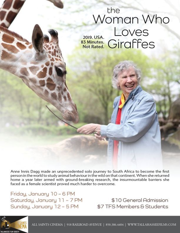 The Woman Who Loves Giraffes