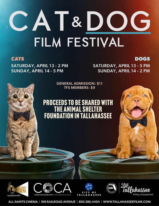 Showing ID# for 'Cat and Dog Film Festival: DOGS'